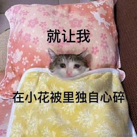 想了个名字被占了于2023-11-10 14:15发布的图片