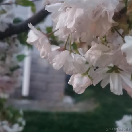 不可思于2023-04-12 10:34发布的图片