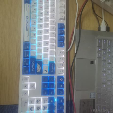 噗噗薯片于2022-11-10 22:43发布的图片