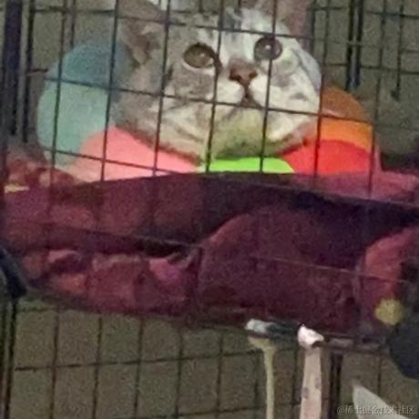 梅希耶尔于2022-11-18 13:41发布的图片