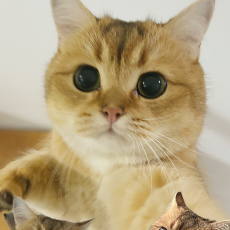 胖大昕于2023-02-01 15:02发布的图片