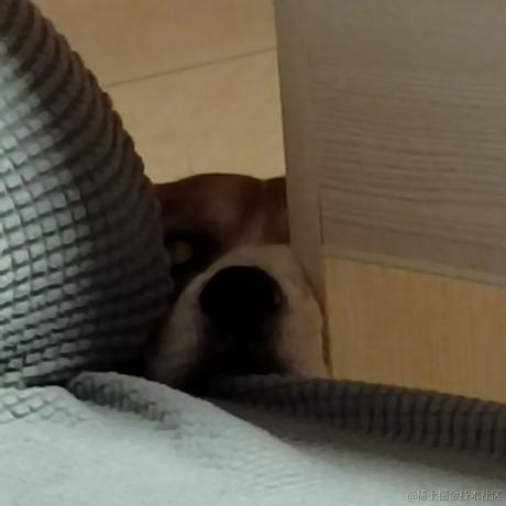 锅里没有水母于2022-12-27 18:05发布的图片