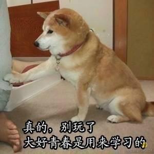 Cryptonym于2020-11-05 18:18发布的图片