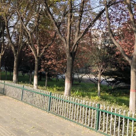 袖手的叶子于2022-11-21 09:14发布的图片