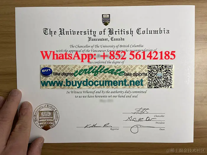 UBC diploma.jpg