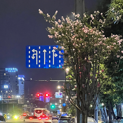 安酱于2023-08-24 12:25发布的图片
