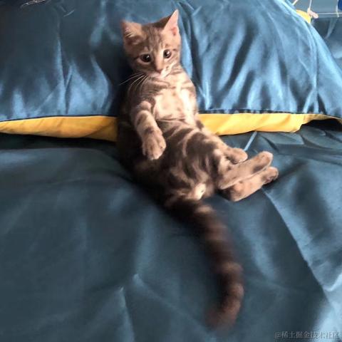 白又白i于2021-09-23 16:37发布的图片