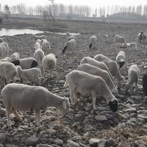 嘉然13136于2022-11-26 21:33发布的图片