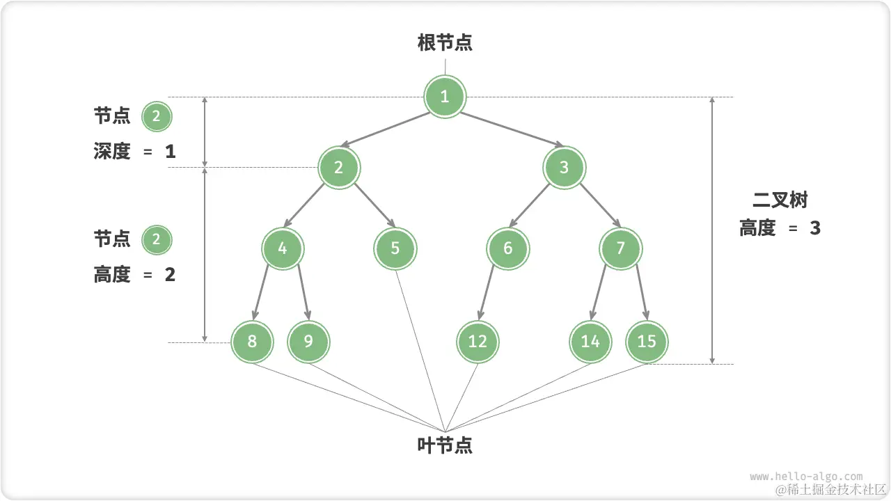 binary_tree_terminology.png