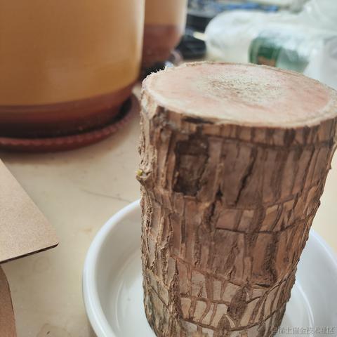 当代恶臭毕业生于2024-07-03 07:11发布的图片