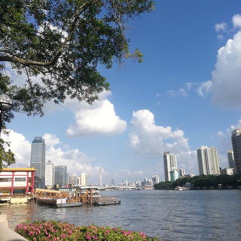 千岁归鹤于2022-11-14 22:39发布的图片