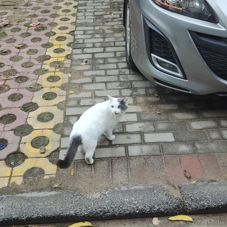 接受然然的爱于2022-11-23 17:02发布的图片