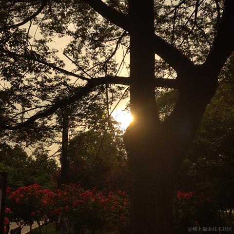 沐的不眠日记于2023-05-02 23:33发布的图片
