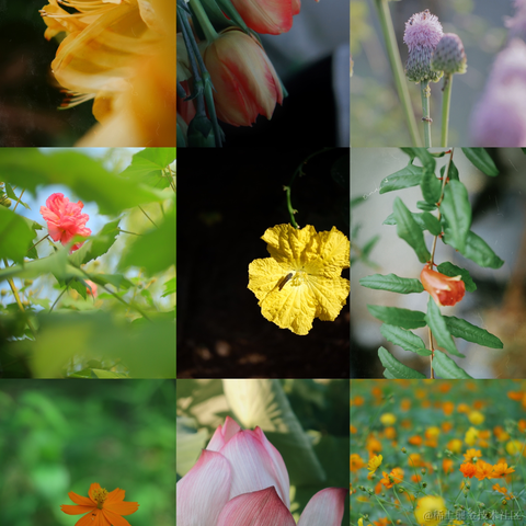 红毛丹于2022-12-20 13:38发布的图片