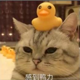 lovevivi于2022-11-14 06:39发布的图片