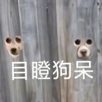 用户1474709411822于2022-11-24 00:32发布的图片