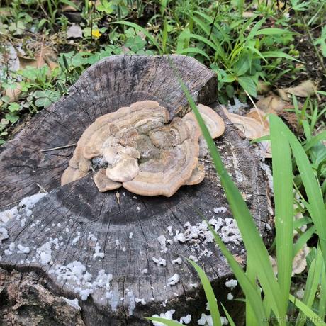 onetwo于2023-05-19 15:35发布的图片