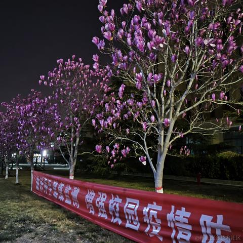 野味道峩少男于2023-04-09 23:35发布的图片