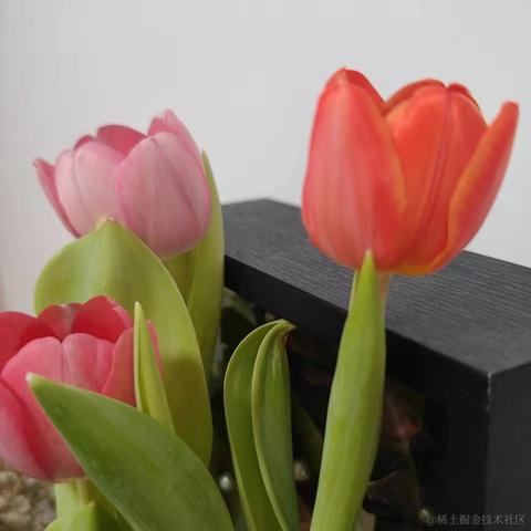 流浪小狗于2024-03-08 11:26发布的图片