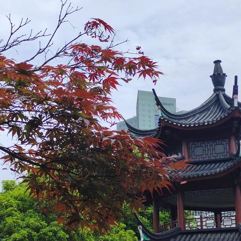 bananakaba于2023-04-22 22:18发布的图片