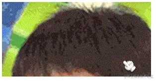 03.gif
