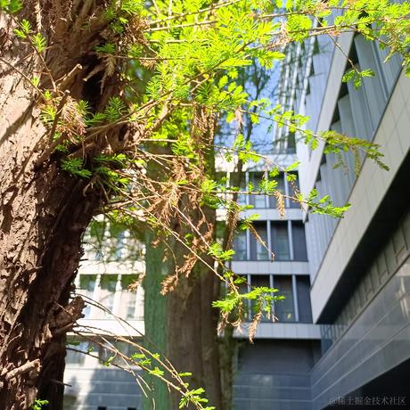 绝望鸭脖于2023-04-09 00:05发布的图片