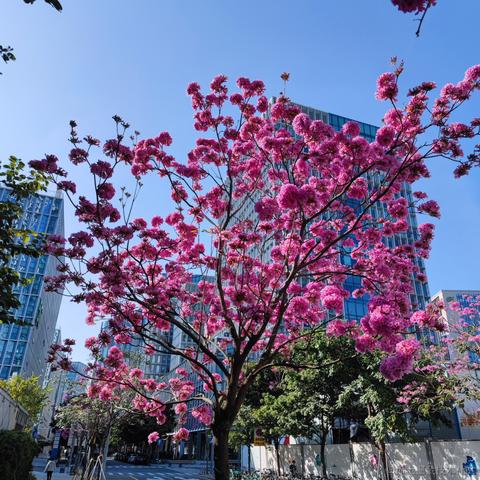 开不了囧于2023-01-18 16:04发布的图片