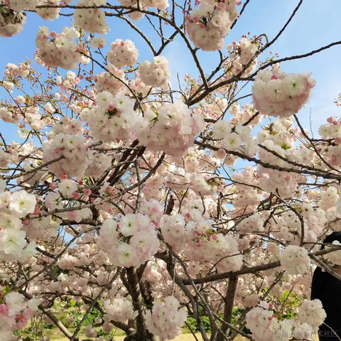 wen622于2023-04-03 13:45发布的图片