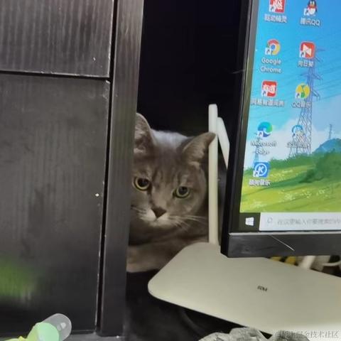 咪了个喵瞄咪于2022-06-06 10:03发布的图片