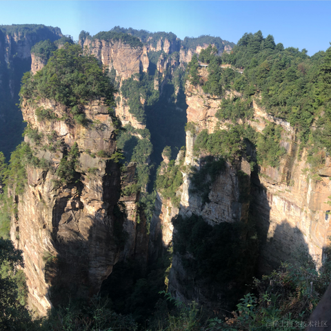 白又白i于2021-10-06 16:54发布的图片