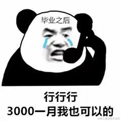 爪哇小白2021于2022-07-02 11:24发布的图片