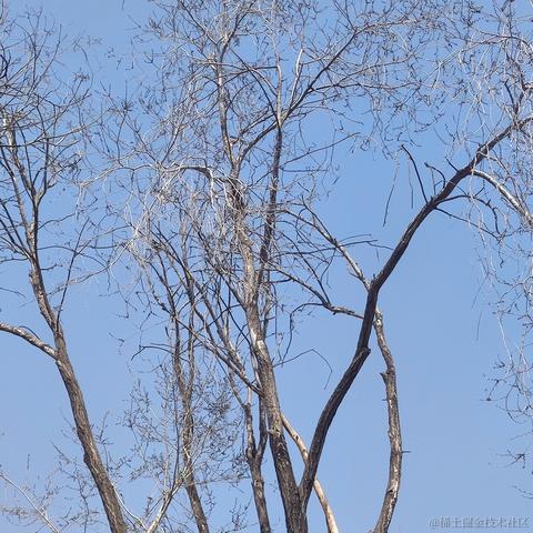 涛涛之海于2023-03-14 13:25发布的图片