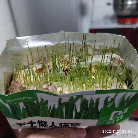 几时时于2022-11-21 20:04发布的图片