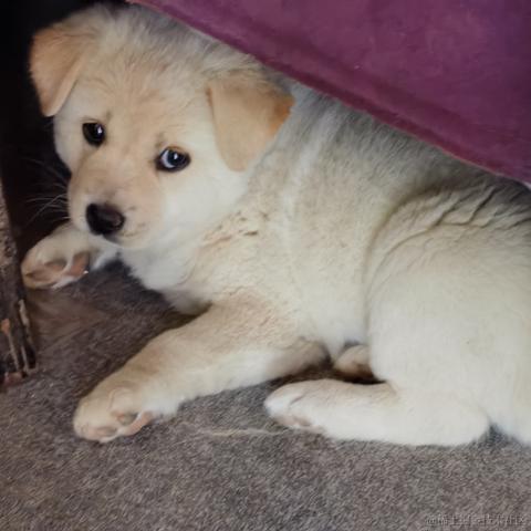 大角然神选于2023-06-20 16:41发布的图片