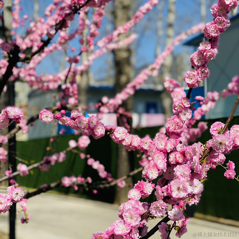 lizheming于2021-03-29 13:45发布的图片