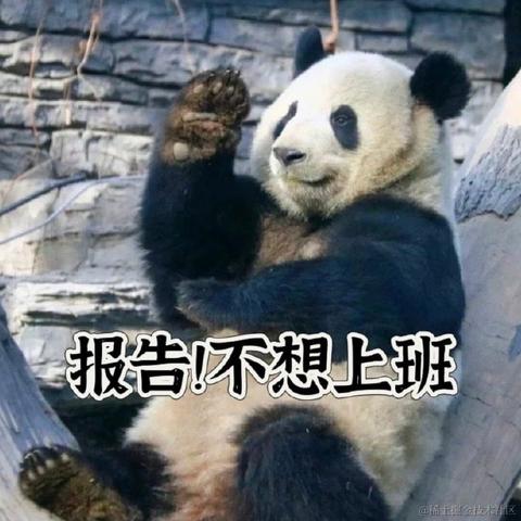 志存高远的零于2023-05-24 10:05发布的图片