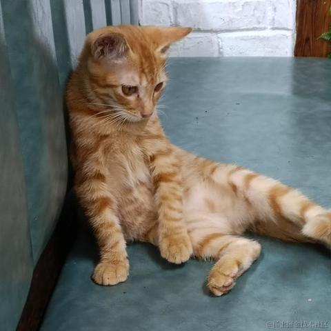 囧史密斯于2022-11-27 18:57发布的图片