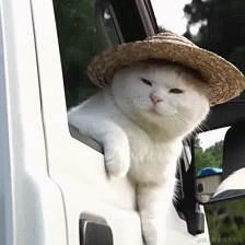 三板斧123于2021-03-28 15:17发布的图片