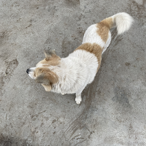 秋山澪于2022-01-31 20:22发布的图片