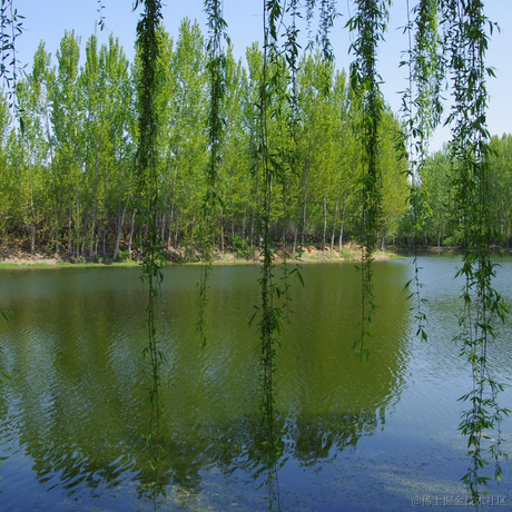 bettersun于2022-04-16 19:26发布的图片