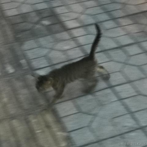 洗衣机35于2022-11-14 23:52发布的图片