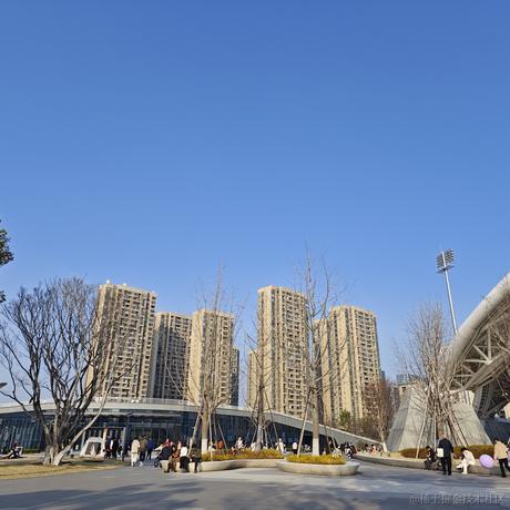 SparkleTiger于2024-03-03 16:09发布的图片