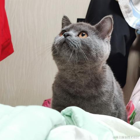 CatWatermelon于2022-12-13 00:37发布的图片