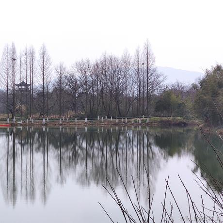 podongfeng于2022-01-31 05:39发布的图片