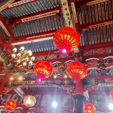 像风一样自由_xjy于2023-02-05 09:00发布的图片