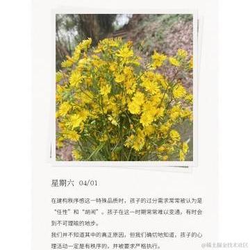 1八八于2023-04-03 18:59发布的图片