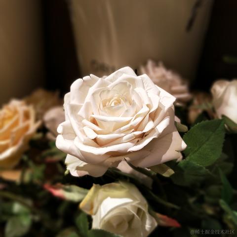 西西西北于2023-05-12 22:08发布的图片