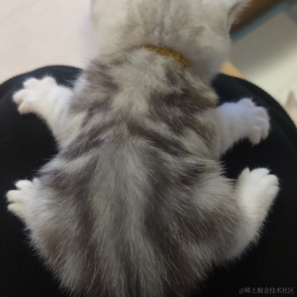 orangecat于2023-05-23 10:36发布的图片