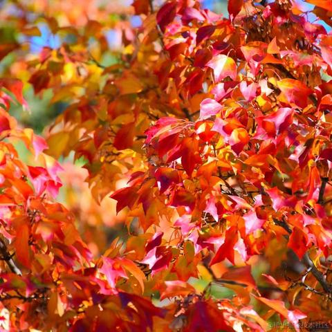 苦命打工人于2021-01-04 17:56发布的图片