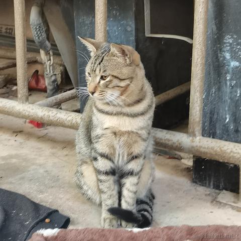 西米酱米西于2022-11-10 16:51发布的图片